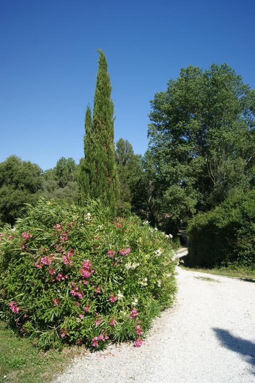 Casa Sorgente Bed and Breakfast San Costanzo Eksteriør billede